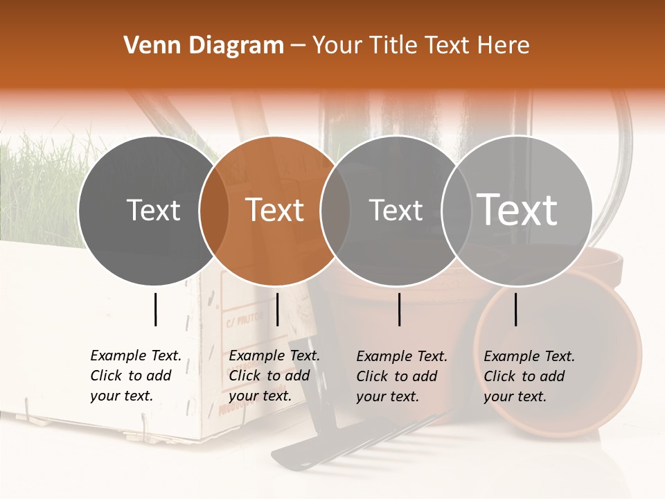 Life Care Concepts PowerPoint Template