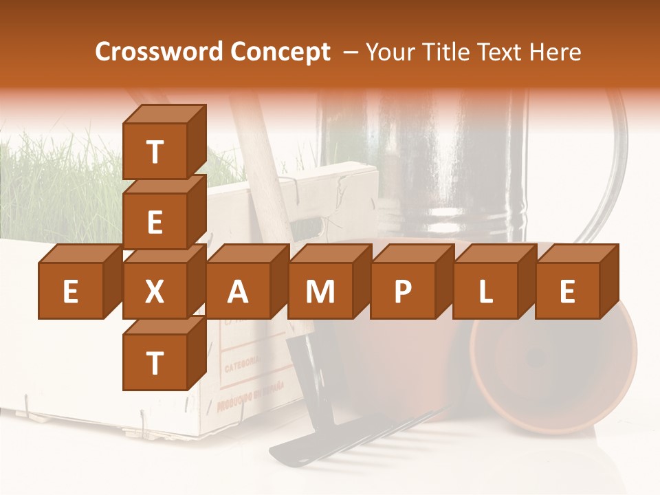 Life Care Concepts PowerPoint Template