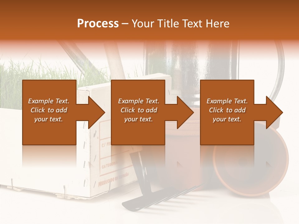 Life Care Concepts PowerPoint Template