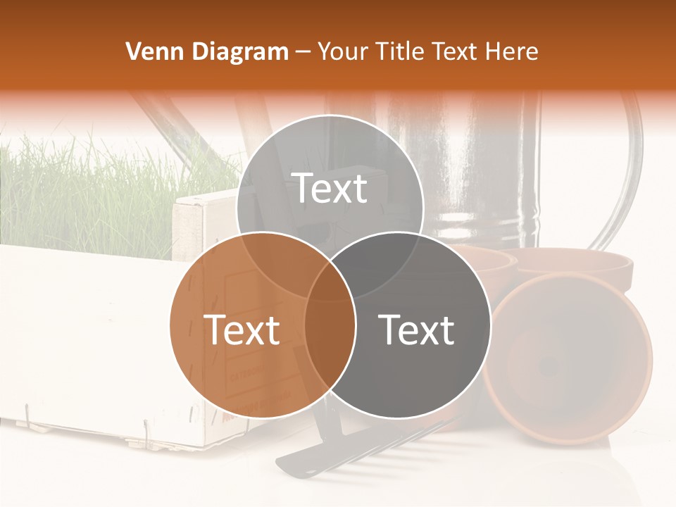 Life Care Concepts PowerPoint Template