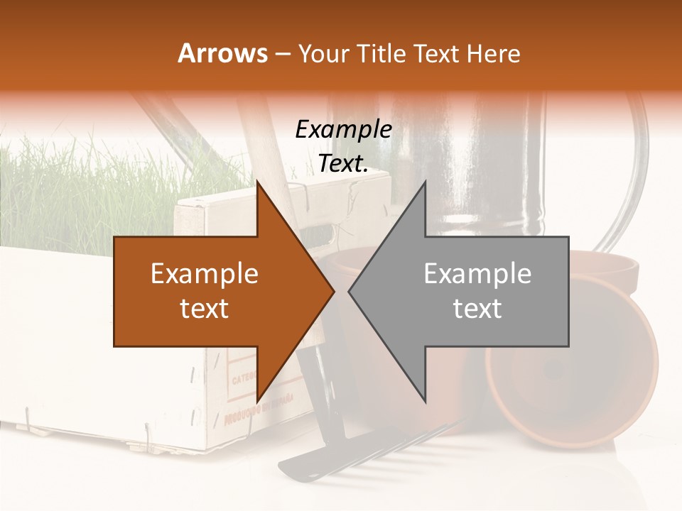 Life Care Concepts PowerPoint Template