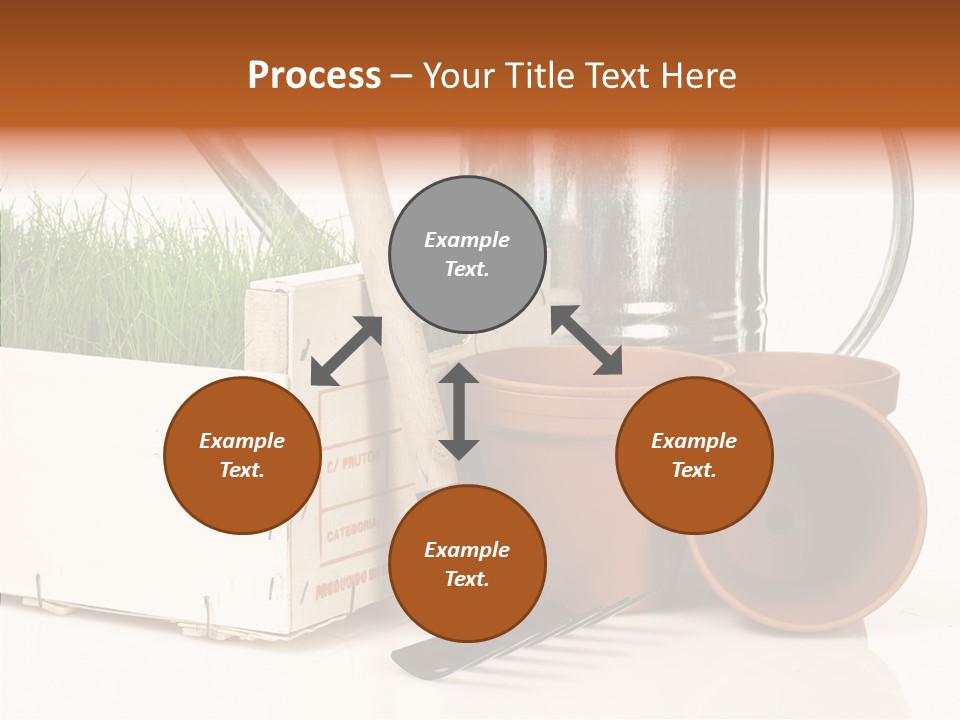 Life Care Concepts PowerPoint Template