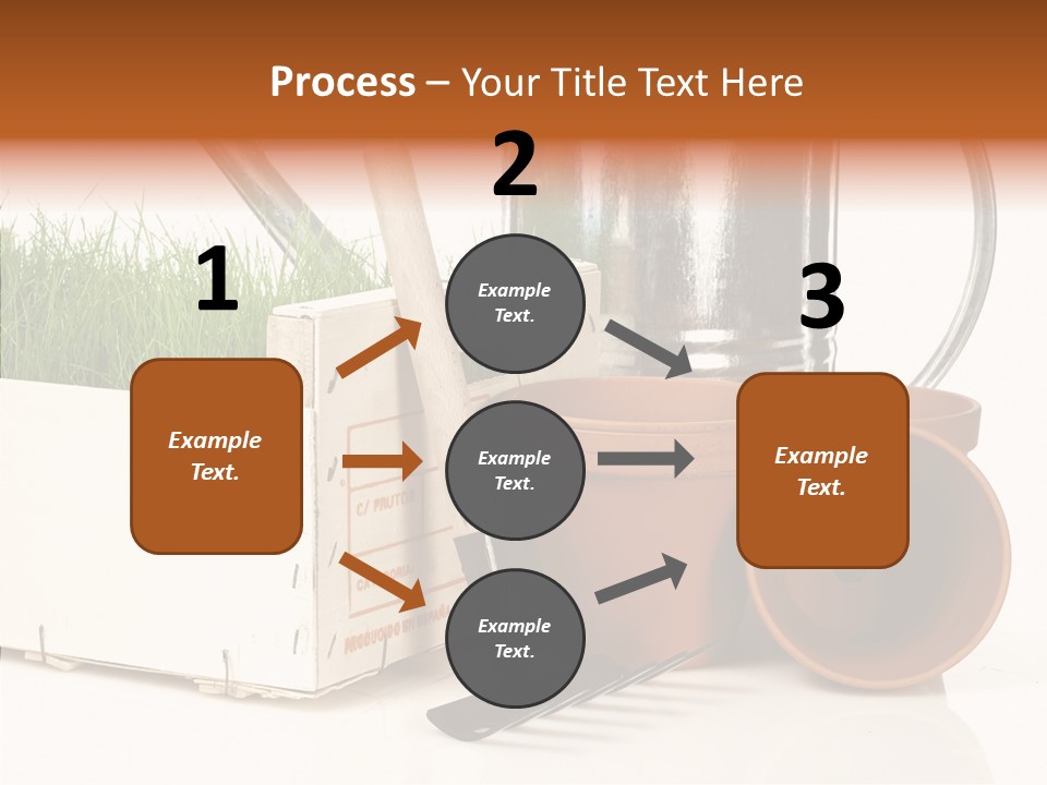 Life Care Concepts PowerPoint Template