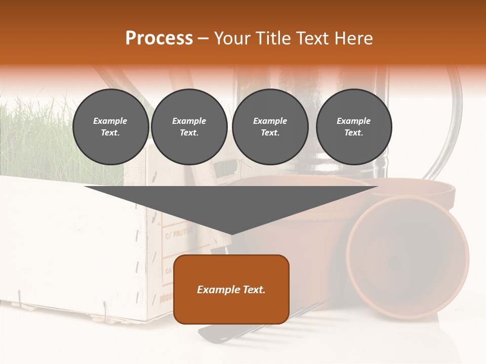Life Care Concepts PowerPoint Template