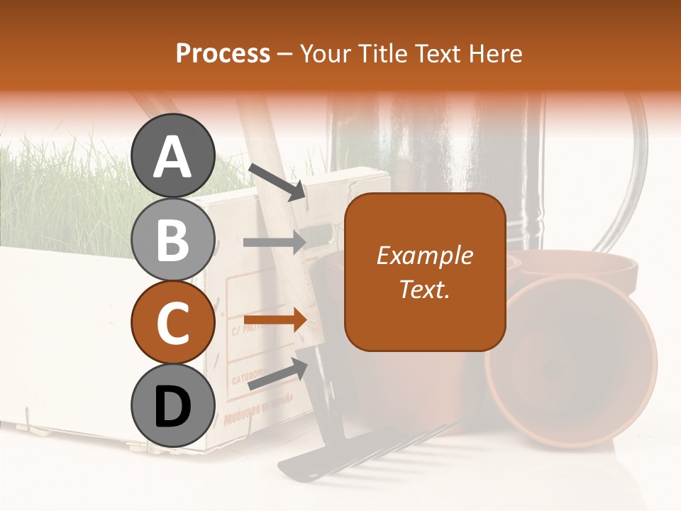 Life Care Concepts PowerPoint Template