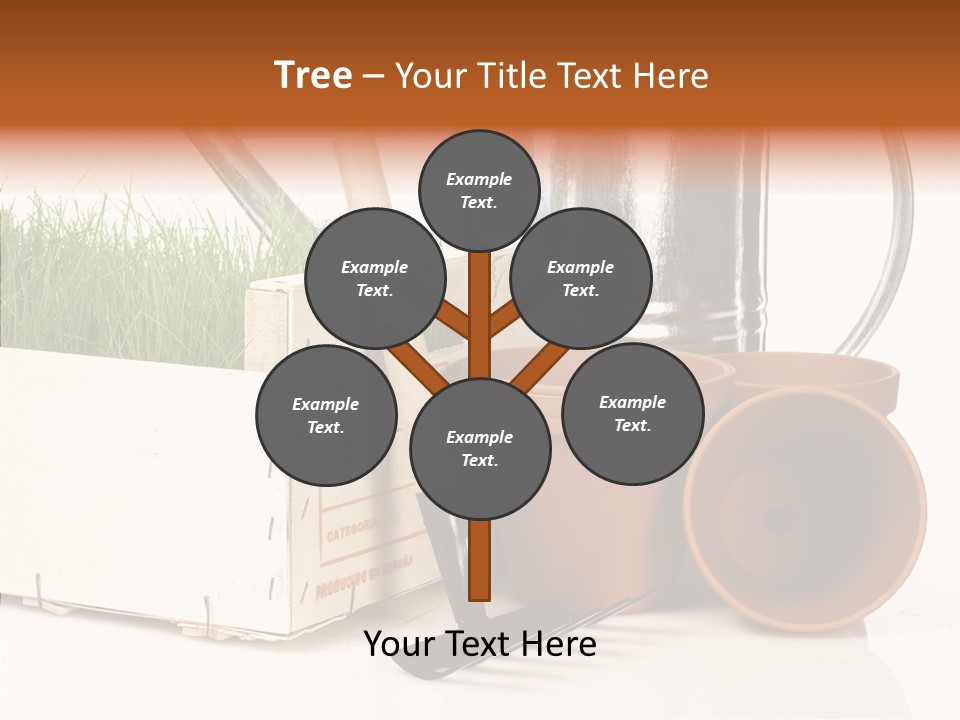 Life Care Concepts PowerPoint Template