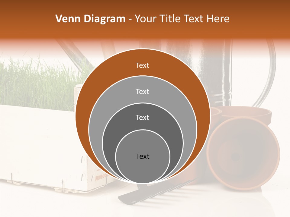 Life Care Concepts PowerPoint Template