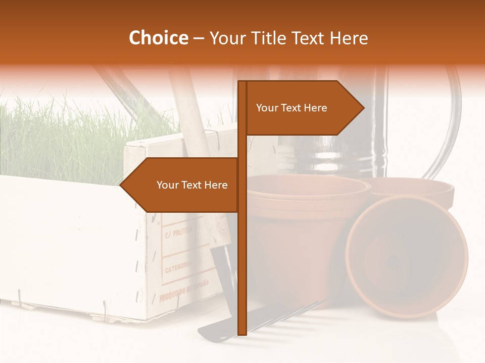 Life Care Concepts PowerPoint Template