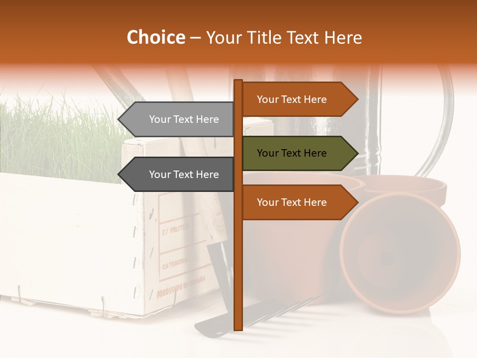 Life Care Concepts PowerPoint Template
