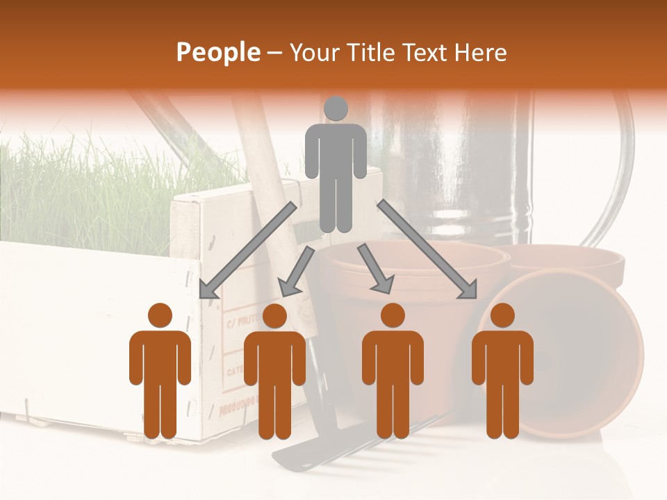 Life Care Concepts PowerPoint Template