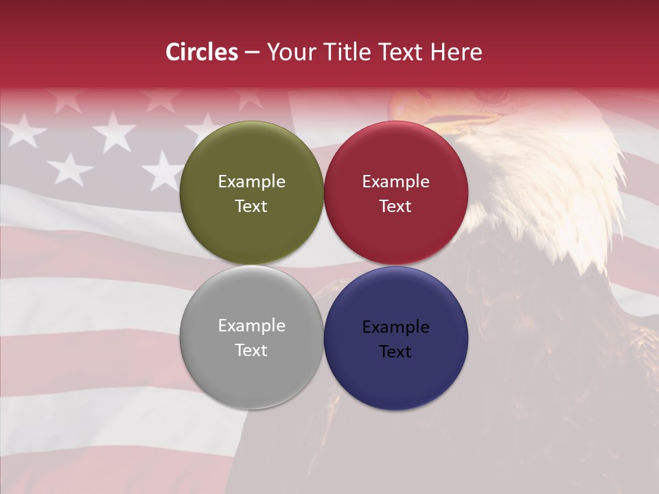Majestic Bald Eagle PowerPoint Template