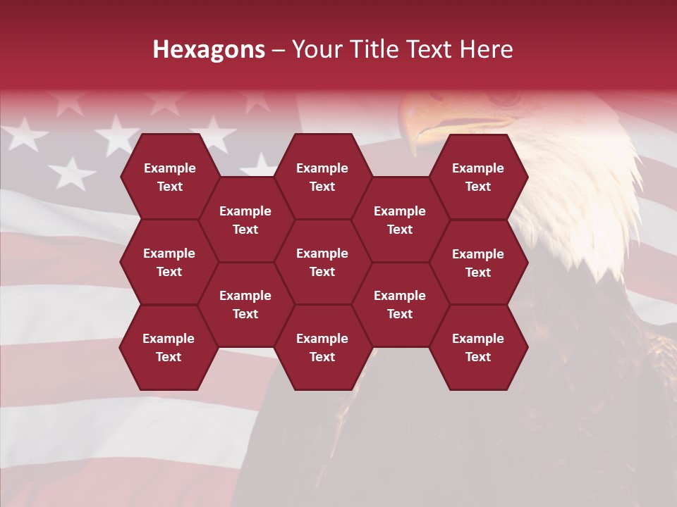 Majestic Bald Eagle PowerPoint Template