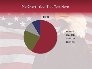 Majestic Bald Eagle PowerPoint Template