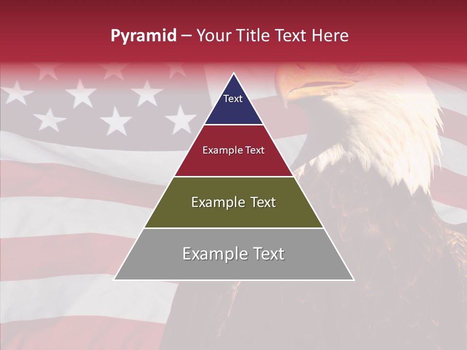 Majestic Bald Eagle PowerPoint Template
