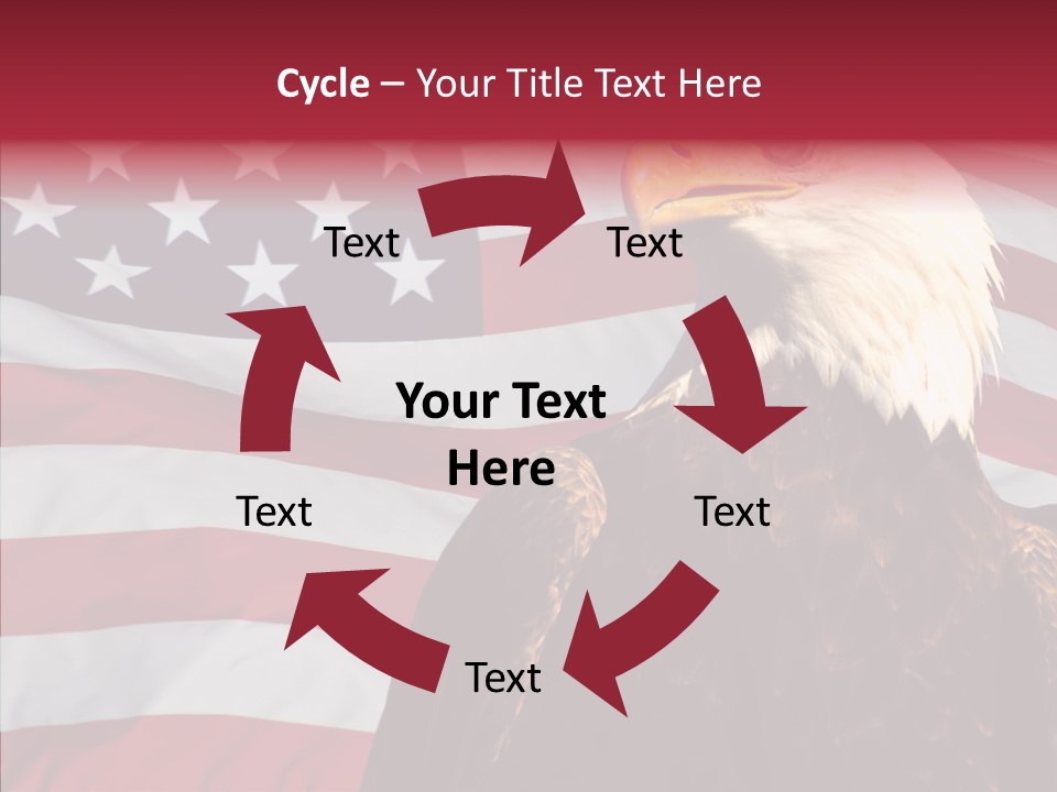 Majestic Bald Eagle PowerPoint Template