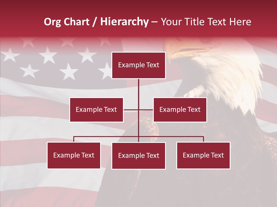 Majestic Bald Eagle PowerPoint Template