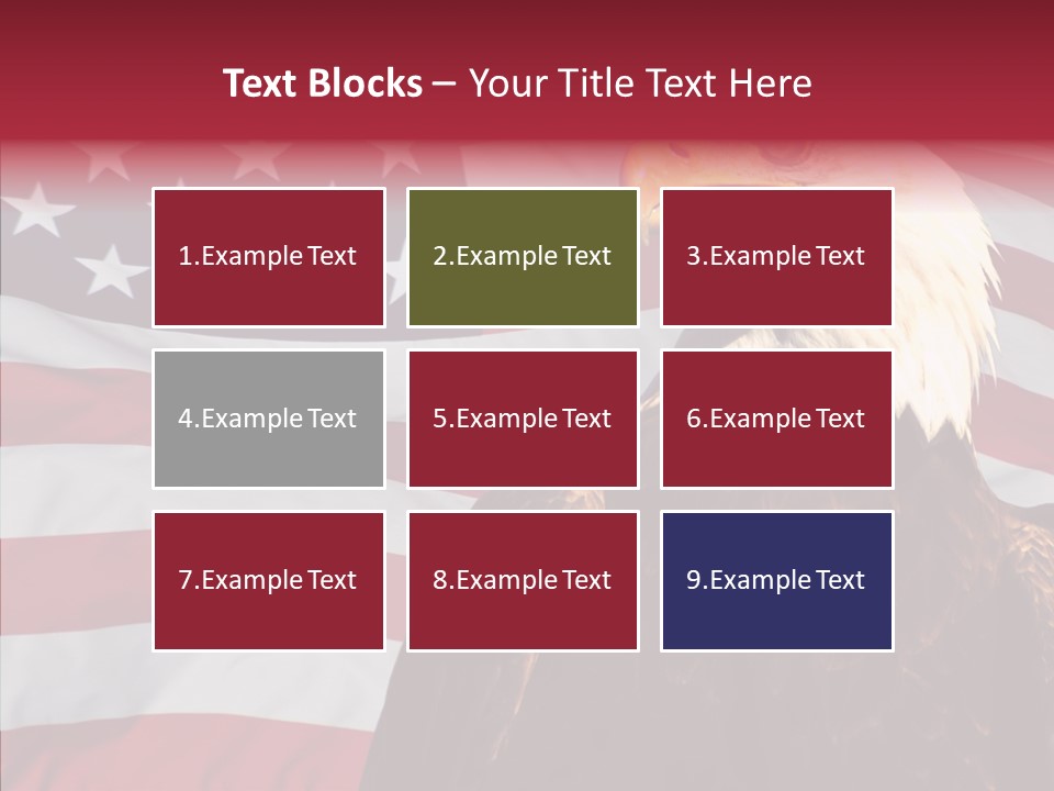 Majestic Bald Eagle PowerPoint Template