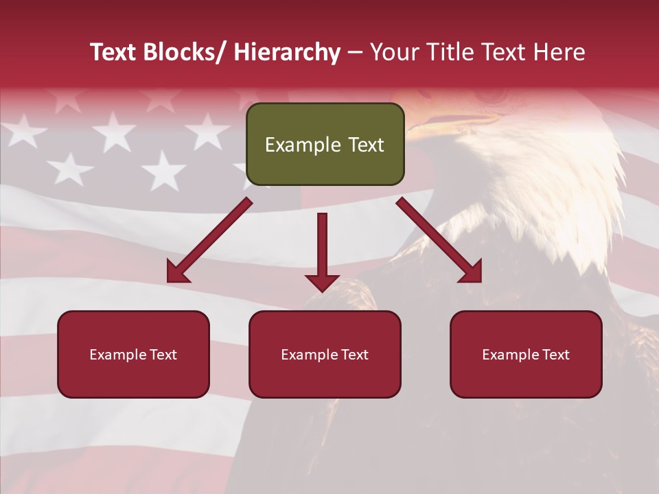Majestic Bald Eagle PowerPoint Template