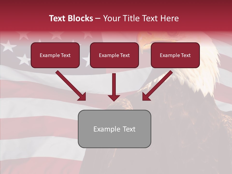 Majestic Bald Eagle PowerPoint Template