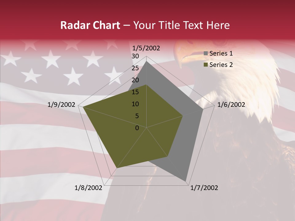 Majestic Bald Eagle PowerPoint Template