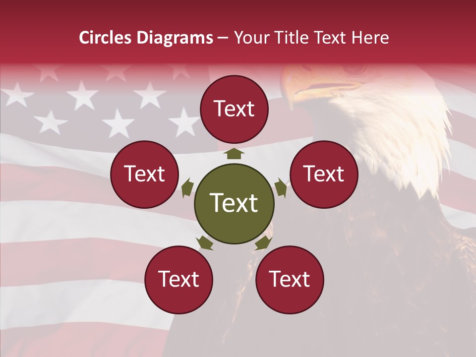 Majestic Bald Eagle PowerPoint Template