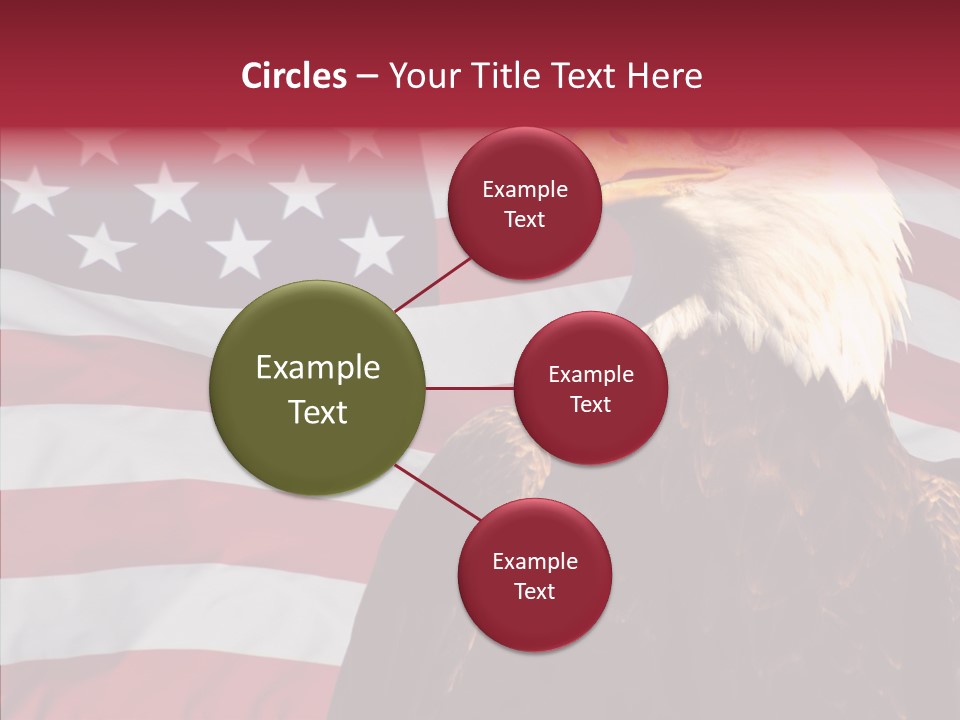 Majestic Bald Eagle PowerPoint Template