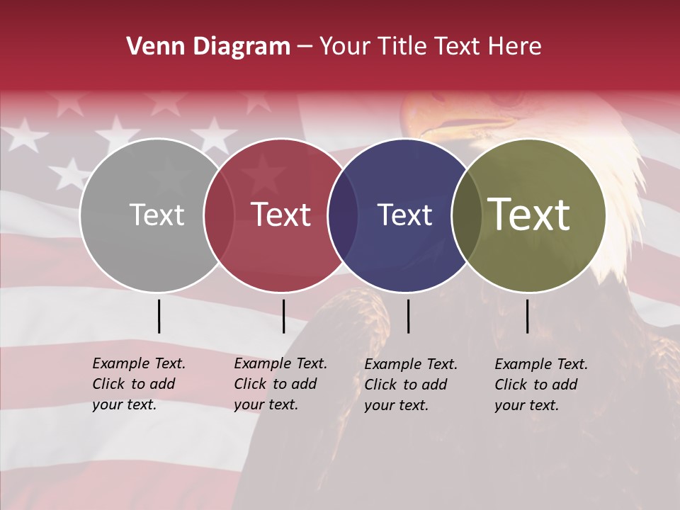 Majestic Bald Eagle PowerPoint Template