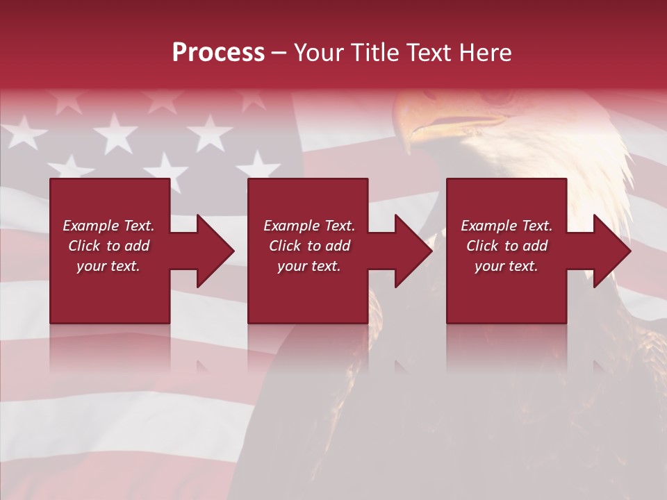 Majestic Bald Eagle PowerPoint Template