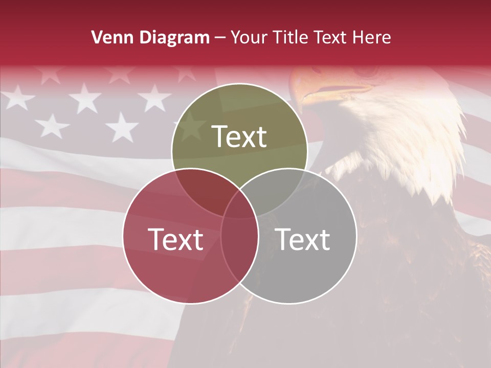 Majestic Bald Eagle PowerPoint Template