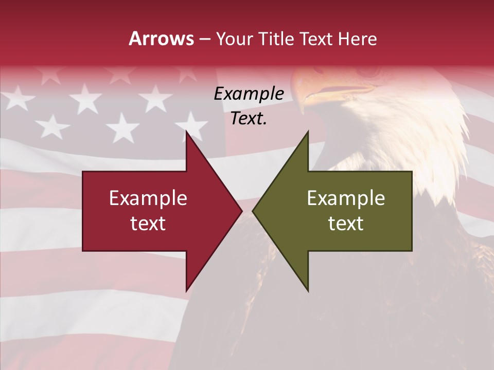 Majestic Bald Eagle PowerPoint Template