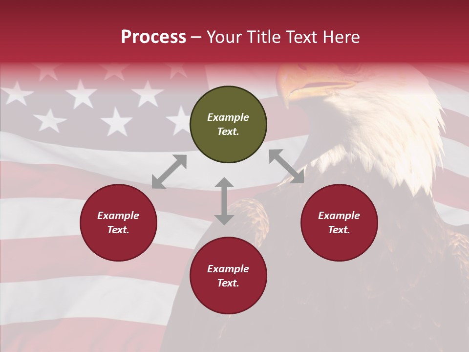 Majestic Bald Eagle PowerPoint Template