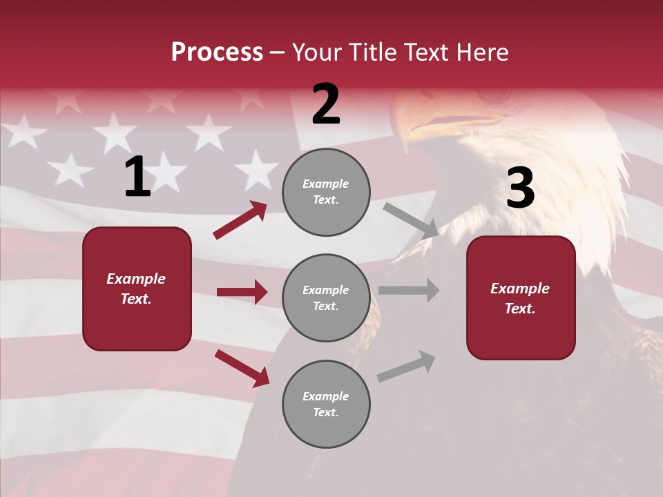 Majestic Bald Eagle PowerPoint Template