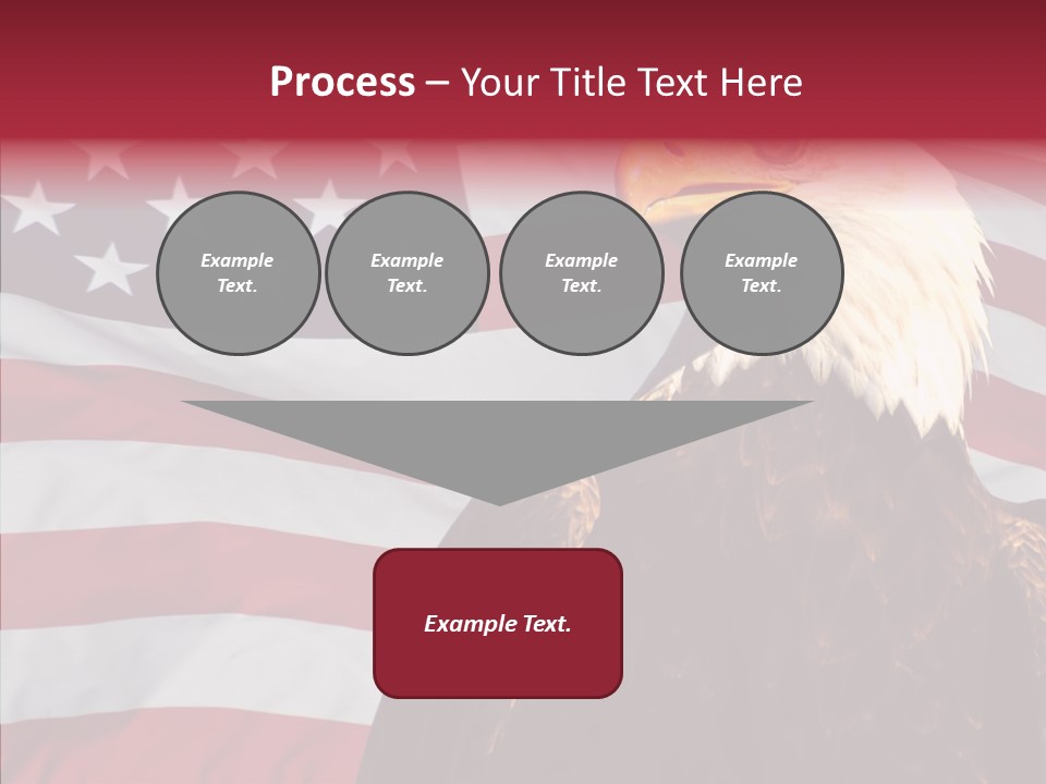 Majestic Bald Eagle PowerPoint Template