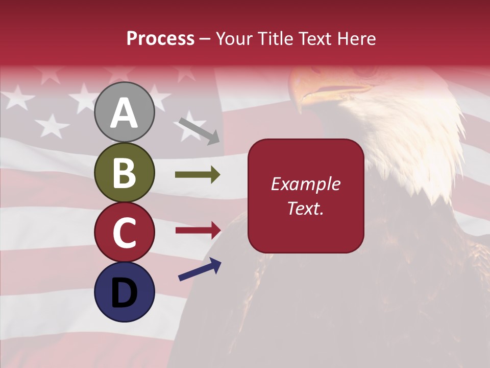 Majestic Bald Eagle PowerPoint Template
