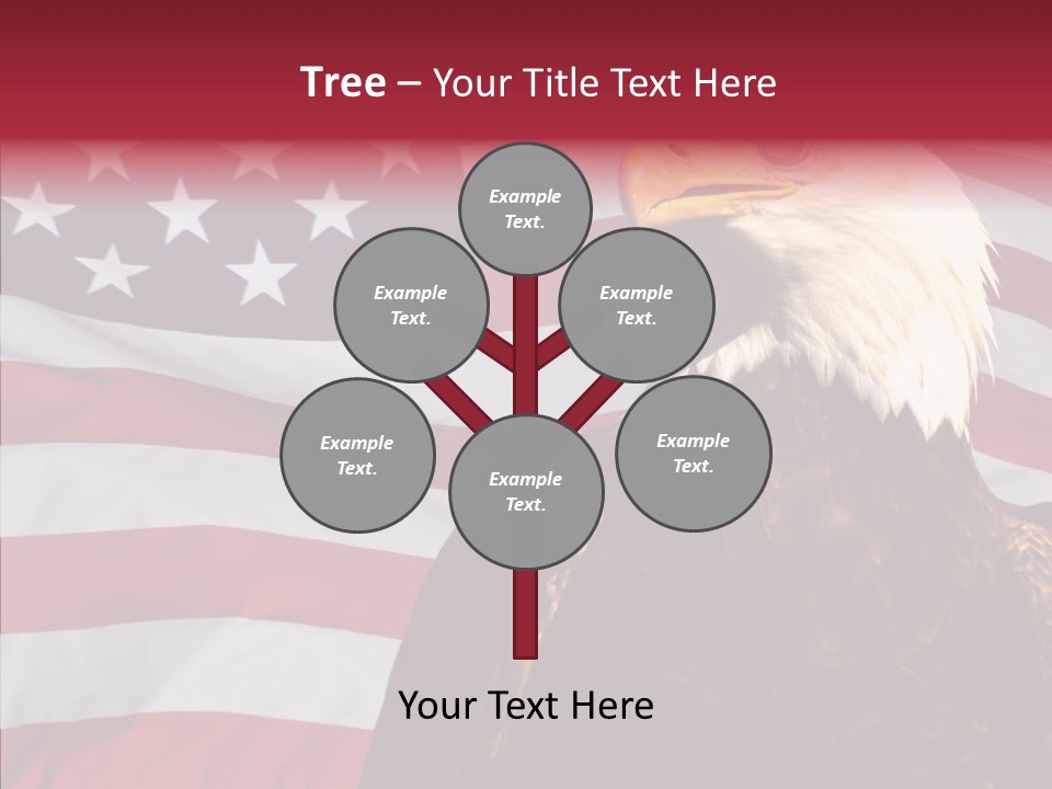 Majestic Bald Eagle PowerPoint Template