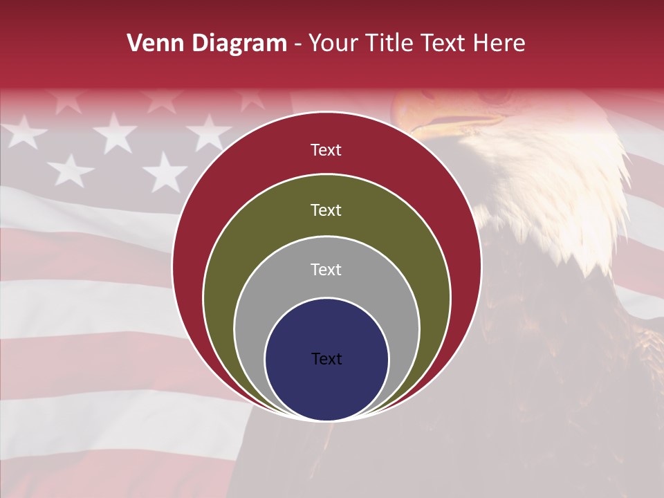 Majestic Bald Eagle PowerPoint Template