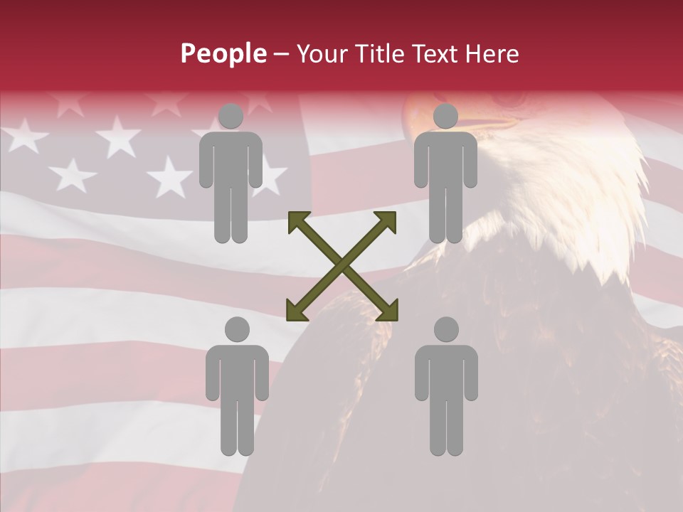 Majestic Bald Eagle PowerPoint Template