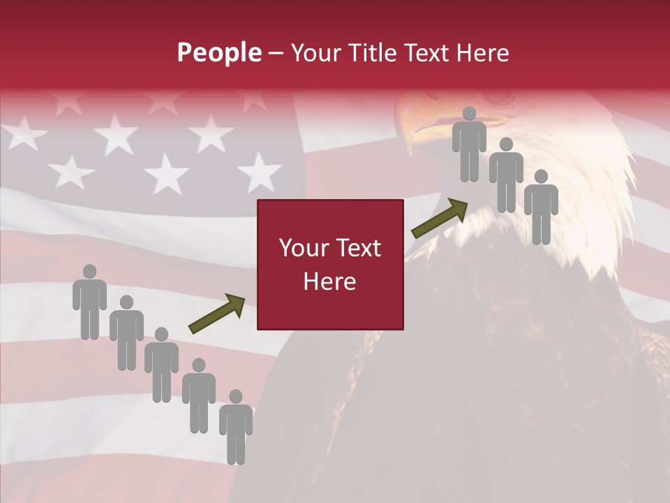 Majestic Bald Eagle PowerPoint Template