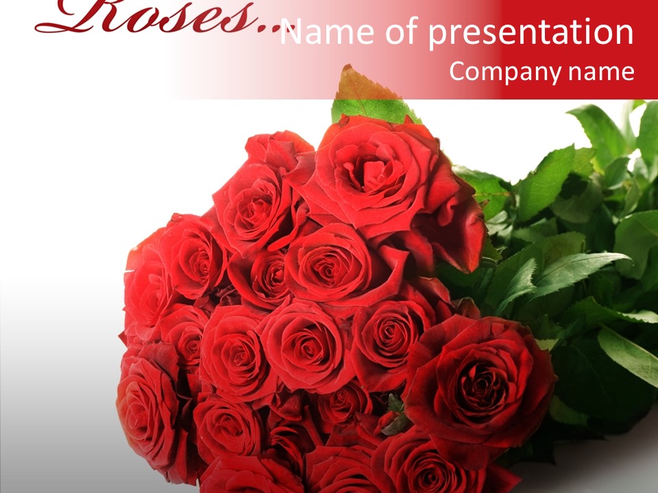 Red Roses PowerPoint Template