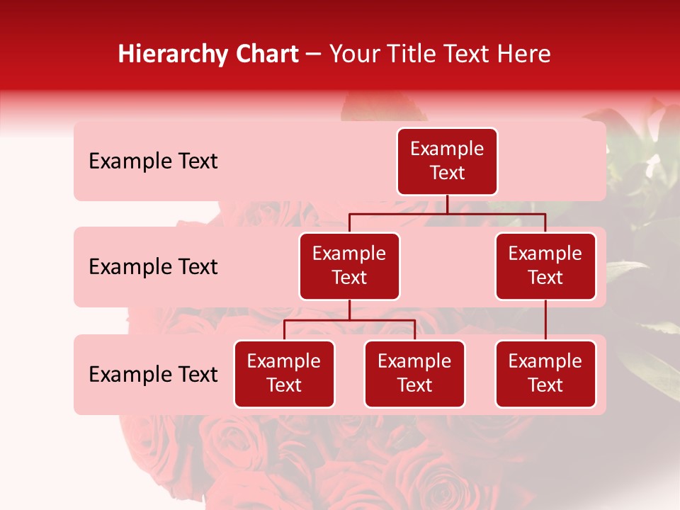 Red Roses PowerPoint Template