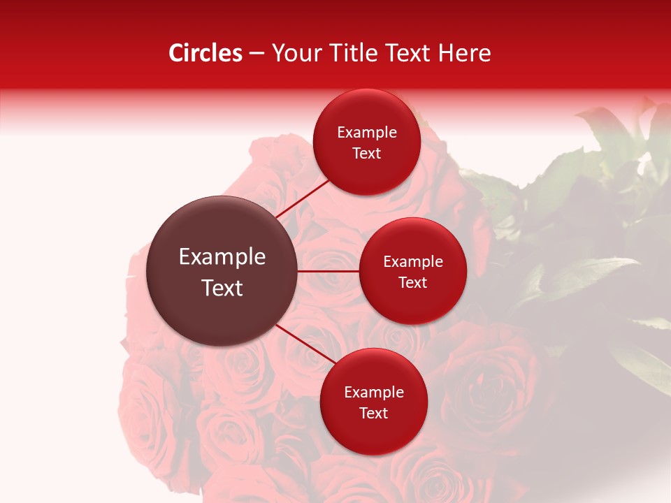 Red Roses PowerPoint Template