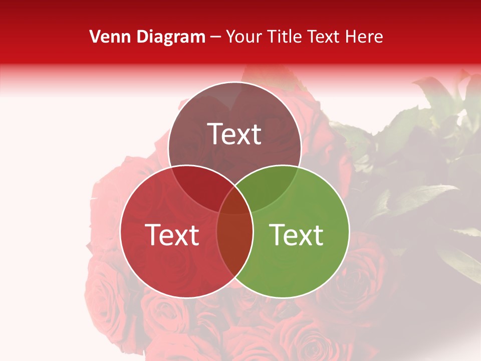 Red Roses PowerPoint Template