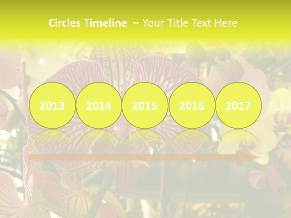 Table Business Paperwork PowerPoint Template