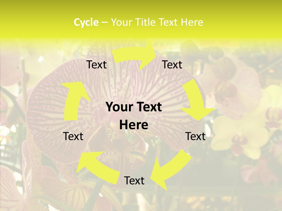 Table Business Paperwork PowerPoint Template