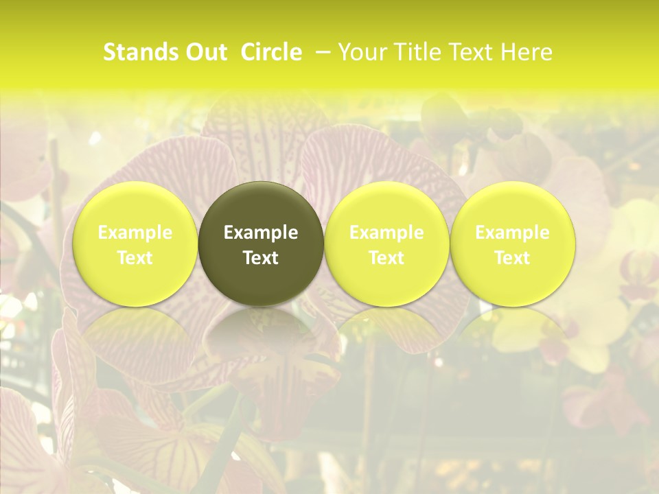 Table Business Paperwork PowerPoint Template