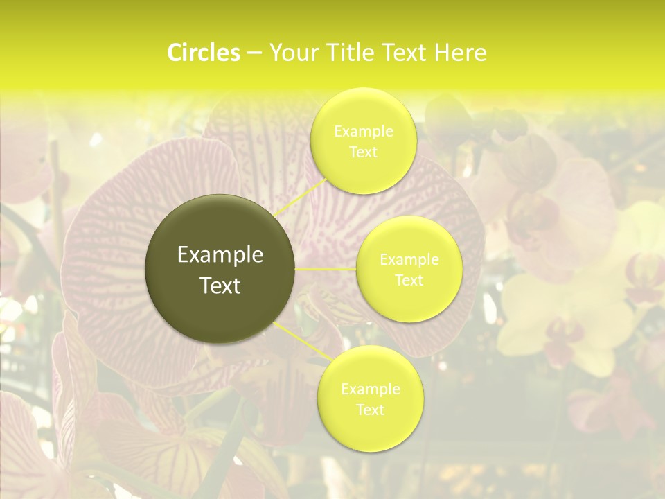 Table Business Paperwork PowerPoint Template