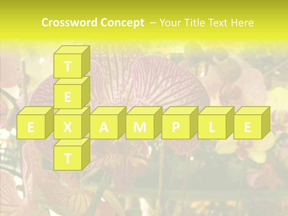 Table Business Paperwork PowerPoint Template