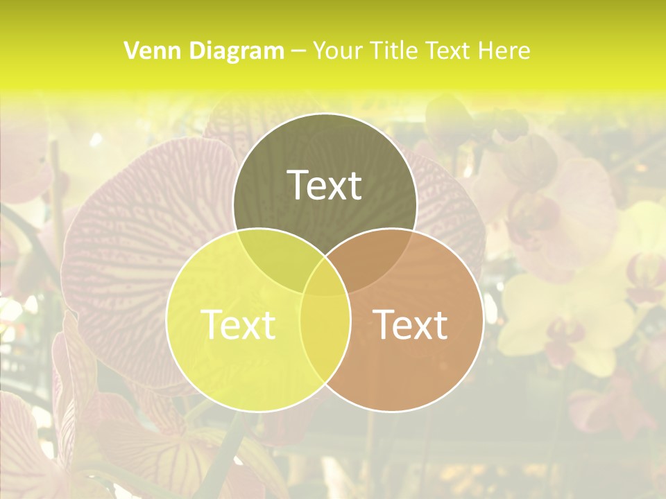 Table Business Paperwork PowerPoint Template