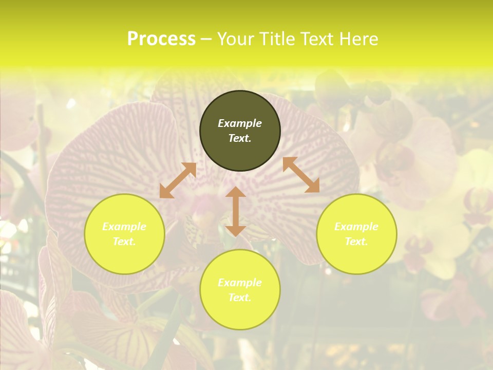 Table Business Paperwork PowerPoint Template