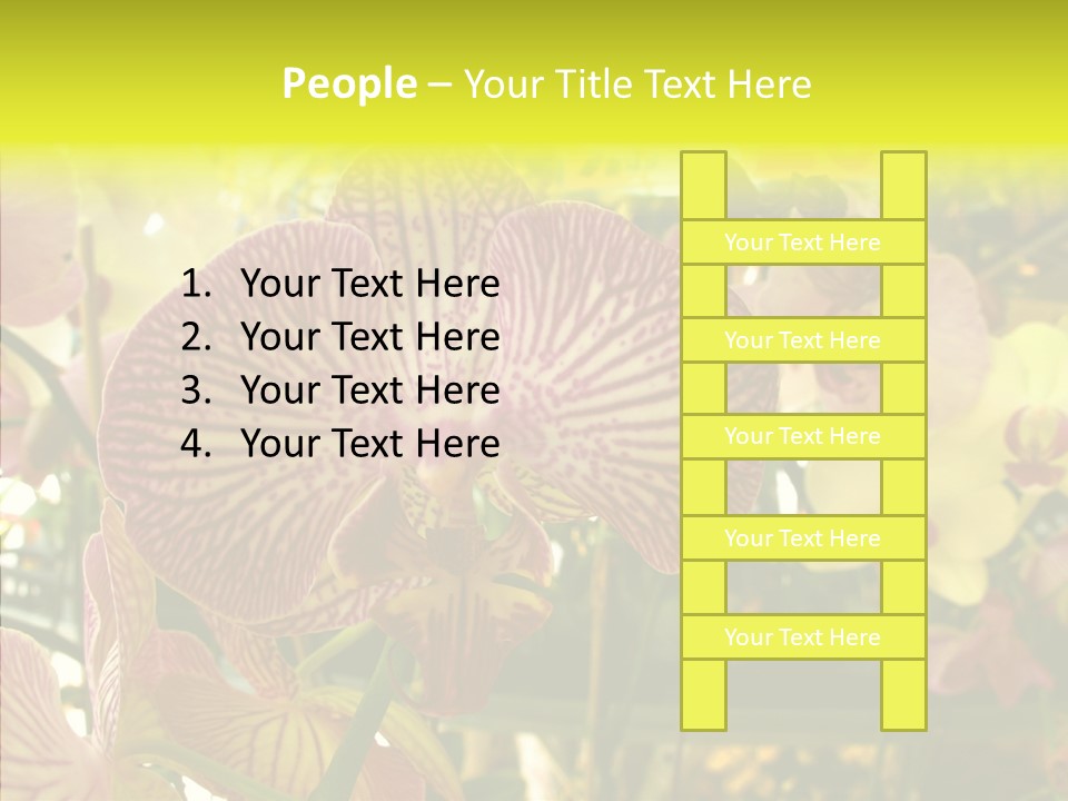 Table Business Paperwork PowerPoint Template